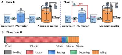 Achieving robust and highly efficient nitrogen removal in a mainstream anammox reactor by introducing low concentrations of readily biodegradable organics